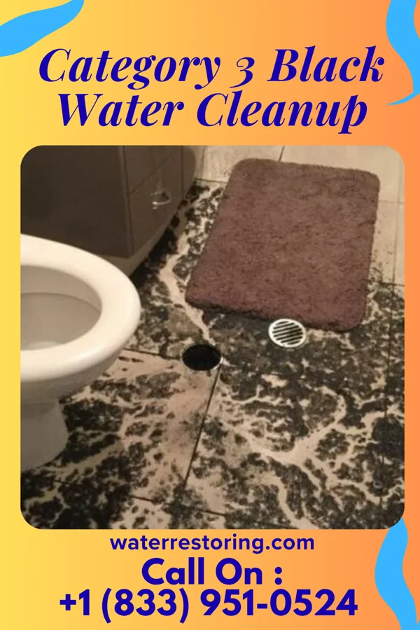 Category 3 Black Water Cleanup in Port Jefferson, OH