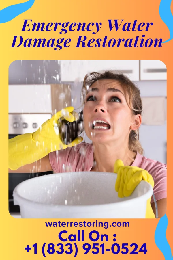 Emergency Water Damage Restoration in Port Jefferson, OH