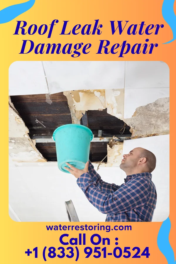 Roof Leak Water Damage Repair in Port Jefferson, OH