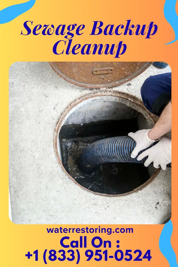 Sewage Backup Cleanup in Port Jefferson, OH